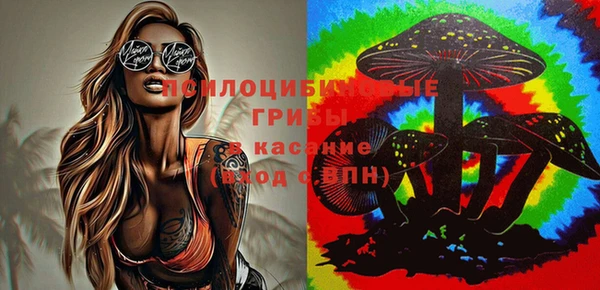 таблы Богородицк