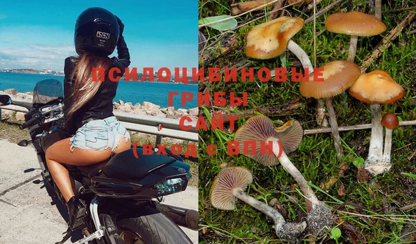 мдма Богородск
