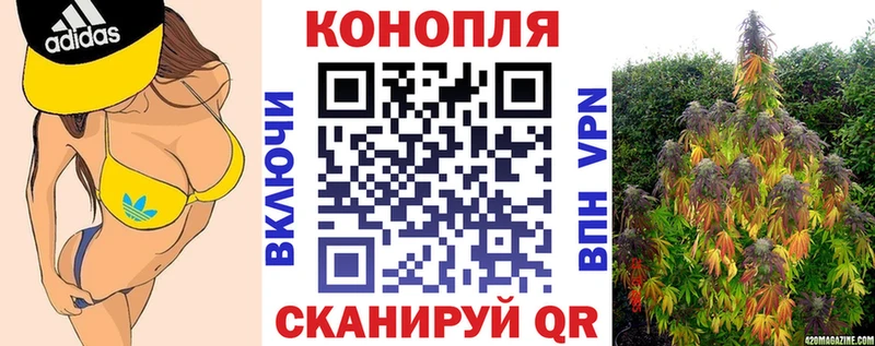 Шишки марихуана Ganja  продажа наркотиков  Майкоп 